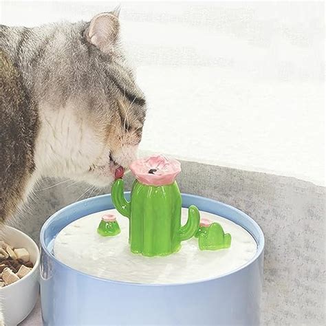 Cat Water Fountain Mushroom 2025 Vet Ranch We Love Pets