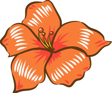 Hibiscus Png Graphic Clipart Design 19152826 Png