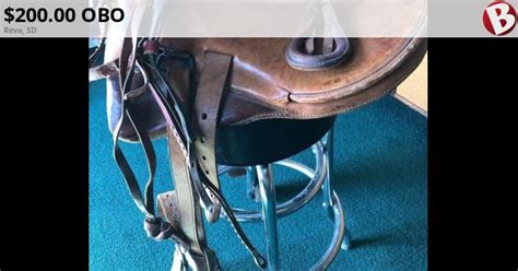 Donkey Saddle Reva Sd