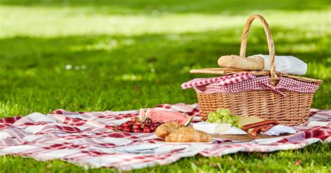 Accessoires Pour Organiser Un Pique Nique Au Parc Zeste