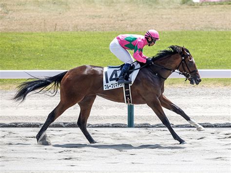 【新潟3r新馬戦結果】5番人気のブループリマドンナが逃げて圧勝！ 2023年8月19日掲載 ライブドアニュース