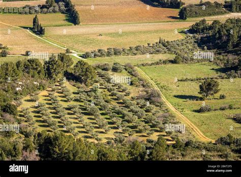 France Bouches Du Rh Ne Regional Natural Park Of Alpilles The Plain