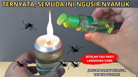 Ternyata Semudah Ini Membuat Alat Pengusir Nyamuk Yang Sangat Ampuh