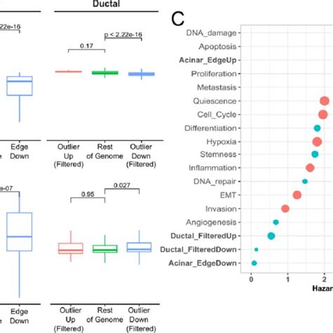 Acinar Edge And Ductal Outlier Genes In Tcga Pdac A Rna Seq