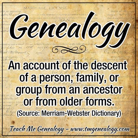 Definition of Genealogy. www.tmgenealogy.com | Family history quotes ...