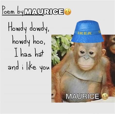 Maurice Monkey Orangutan Meme Maurice Know Your Meme