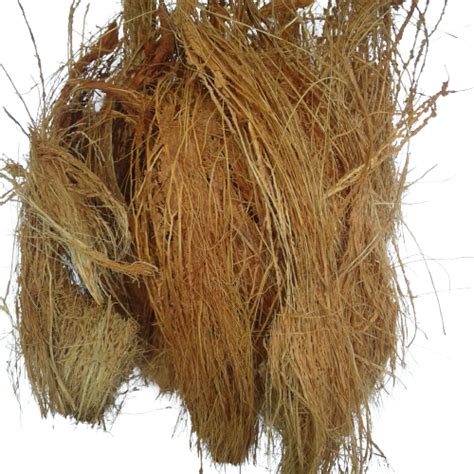 Coconut Husk Coir Natural Fiber Orchid Anthurium Ubuy India