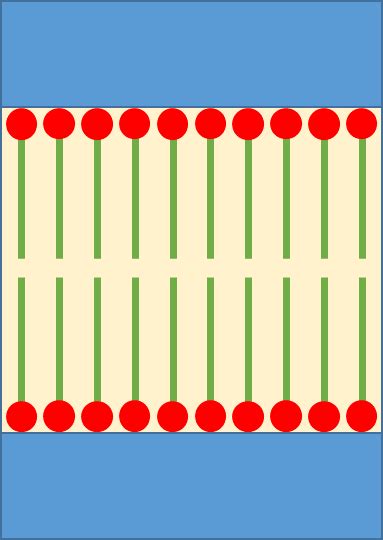 Boundary Lubrication Tribology Wikipedia Tribonet