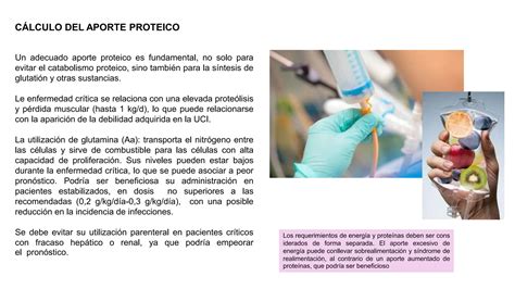 Requerimiento Nutricional En Paciente Critico Pptx Descarga Gratuita