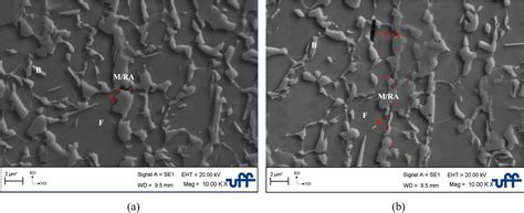 Scielo Brasil Void Formation And Strain Induced Martensitic