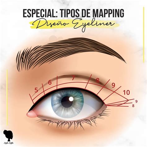 Tipos De Mapping De Pesta As Emma Lashmaker