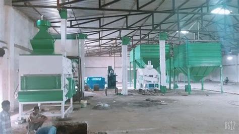 Automatic Powder Coated Ton Wheat Seed Grading Plant Three Phase At