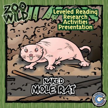 Naked Mole Rat Activities Leveled Reading Printables Slides Digital Inb