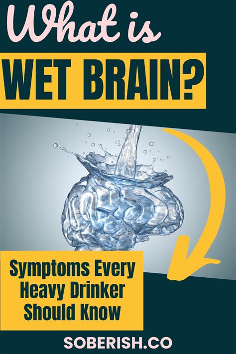 What is wet brain symptoms every heavy drinker should know – Artofit