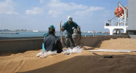 Pozzallo La Nave Carica Di Grano Ammuffito Ripartita Per Il