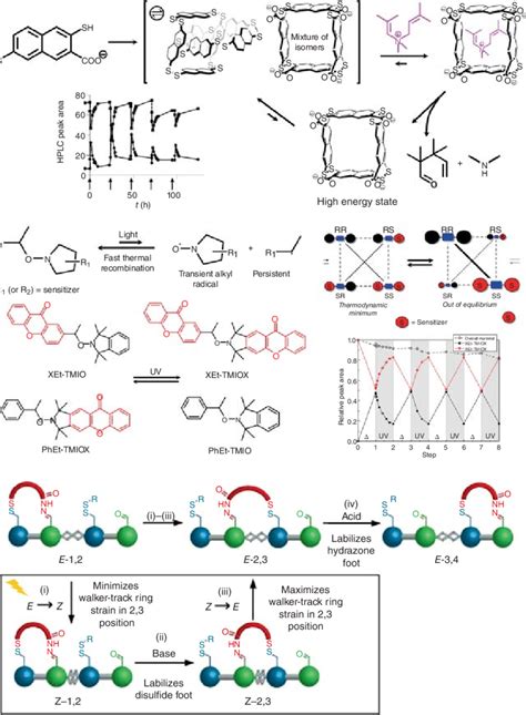 4 Energy-fueled DCC-related chemical systems. (a) The addition of a... | Download Scientific Diagram