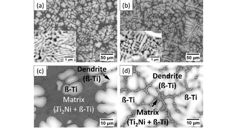 SEM Micrographs Of The Dendritic Zones Of Alloy A A And C And Alloy B