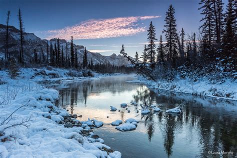 Wallpaper Trees Landscape Mountains Lake Water Nature