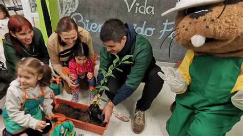 Junji Biobío y Conaf incentivan la plantación de árboles nativos en