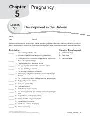 Understanding the Stages of Development in the Unborn: A | Course Hero