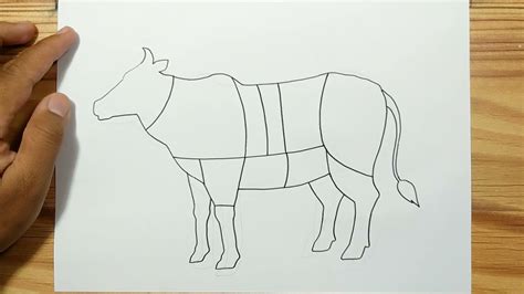 How To Draw Diagram Cutting Meat Of Beef Youtube