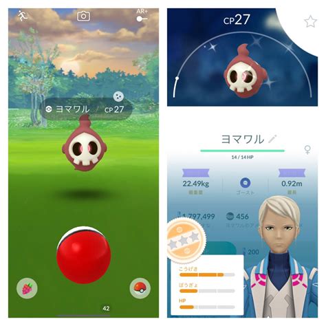 【ポケモンgo】ヨマワルの色違い、 入手方法と実装状況 攻略大百科