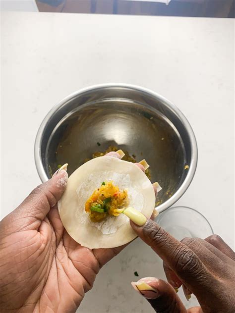 Curry Chicken Dumplingsgyoza Afro Caribbean Recipe