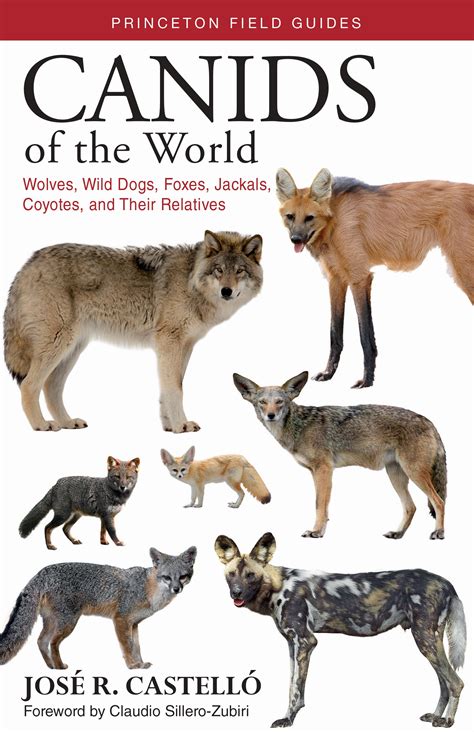 Canids Of The World Princeton University Press