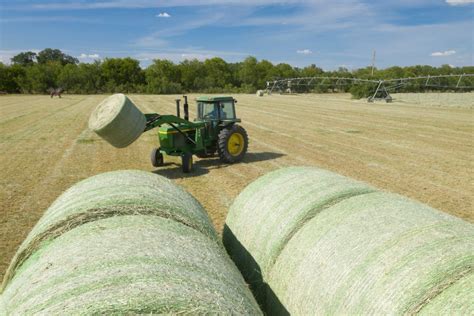 About Limerick Hay Farms