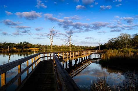 Bay Area Park | Things To Do in Houston, TX