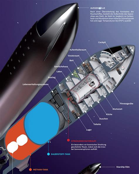 Cutaway diagram of SpaceX Starship : r/SpaceXLounge