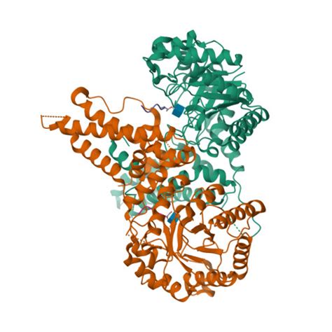 RCSB PDB 5VVX Structural Investigations Of The Substrate Specificity