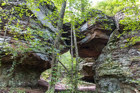 8 Breathtaking Hiking Trails in the Ozarks - Lost In The Ozarks