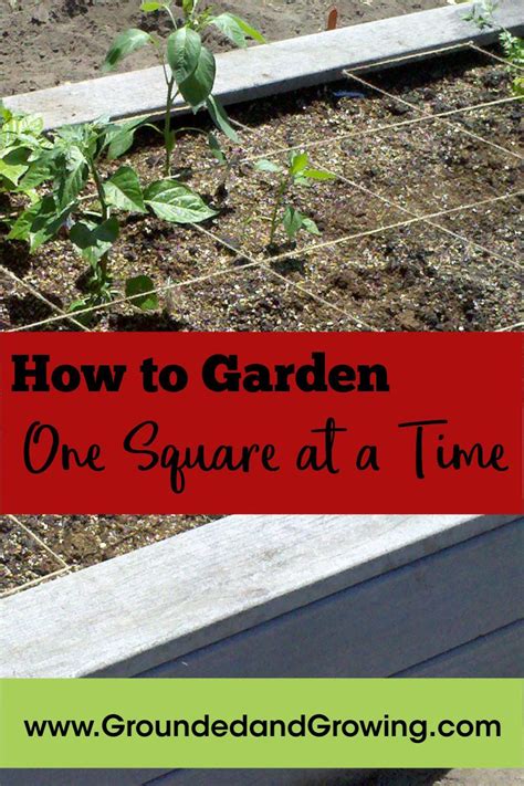 Square Foot Gardening Is An Easy Maintenance Way To Provide Home Grown Vegetables For Your