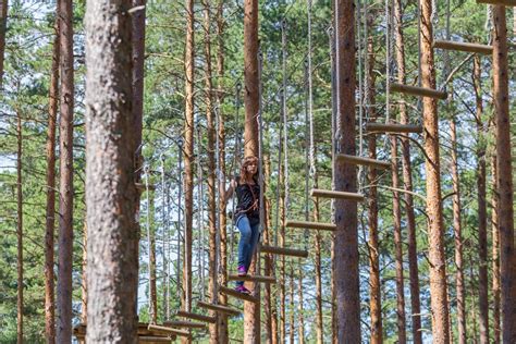 The Adventure Park At Nashville Nashville Wandrly