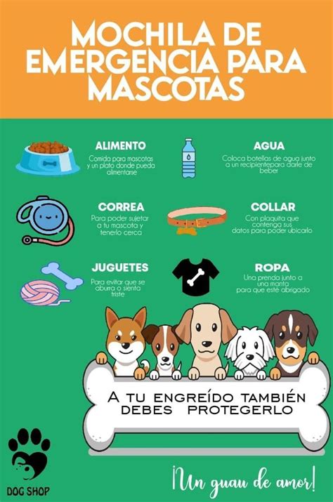 Qué debe contener la mochila de emergencia para mascotas Consejos