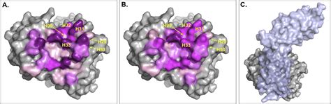 Figures And Data In Contacts Based Prediction Of Binding Affinity In