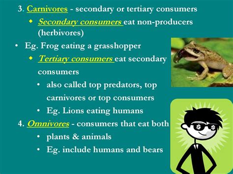 Chapter 2 Energy Flow And Nutrient Cycles Support Life In Ecosystems Ppt Download