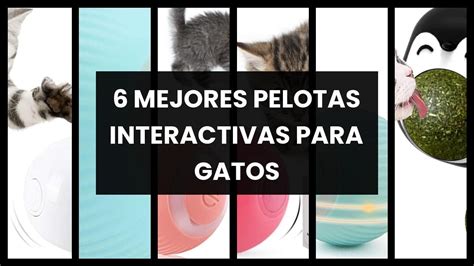 Pelotas Interactivas Para Gatos 6 Mejores Pelotas Interactivas Para