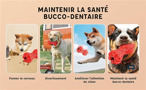 Pleasantsong Couinement Jouet pour Chien 3 in 1 Caoutchouc Jouet à