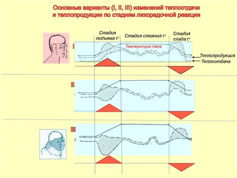 Лихорадка. Виды и стадии лихорадки - презентация онлайн