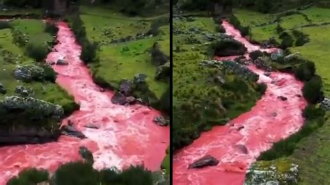 Video यहां बहती है खून की नदी नहाने और छूने वालों का होता है ये हाल Red River Flows In