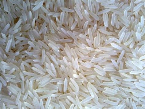 Solid Whole Organic Fresh Dried Indian Origin Long Grain White Basmati