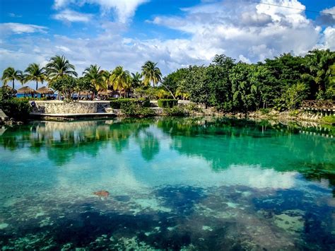 Introducir 81 Imagen Cozumel National Park Abzlocal Mx