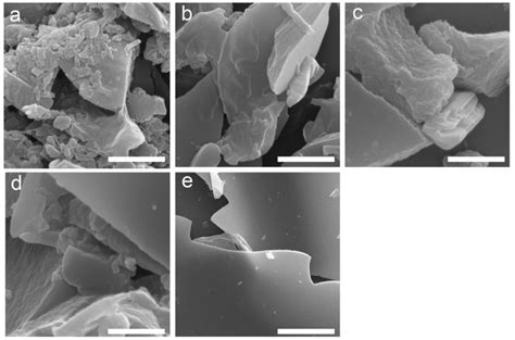 Figure S4. SEM images of the FN-CTFs polymers (a) FN-CTF (1:5), (b ...