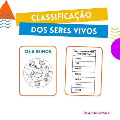 Atividade sobre cinco reinos e classificação dos seres vivos Loja