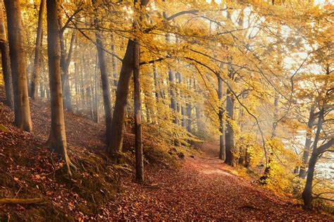 Más de 300 000 fotos de Paisaje De Otoño y Otoño gratis Pixabay