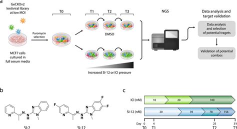 Pooled Crisprcas9 Screening Using The Genome Wide Single Vector Download Scientific Diagram