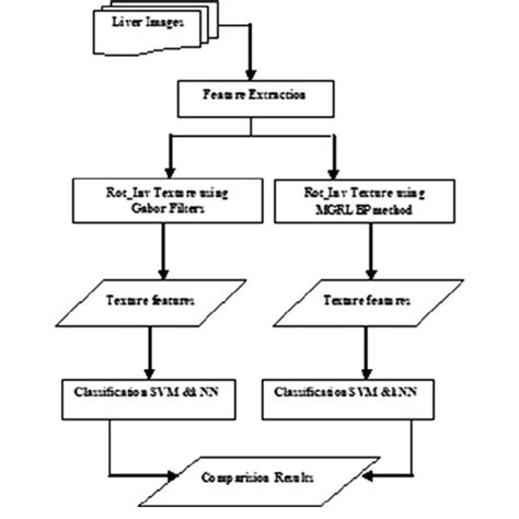 Mgrlbp Method For Texture Feature Extraction And Classification