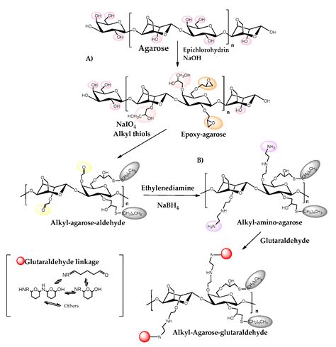 Catalysts Free Full Text Recent Trends In Biomaterials For